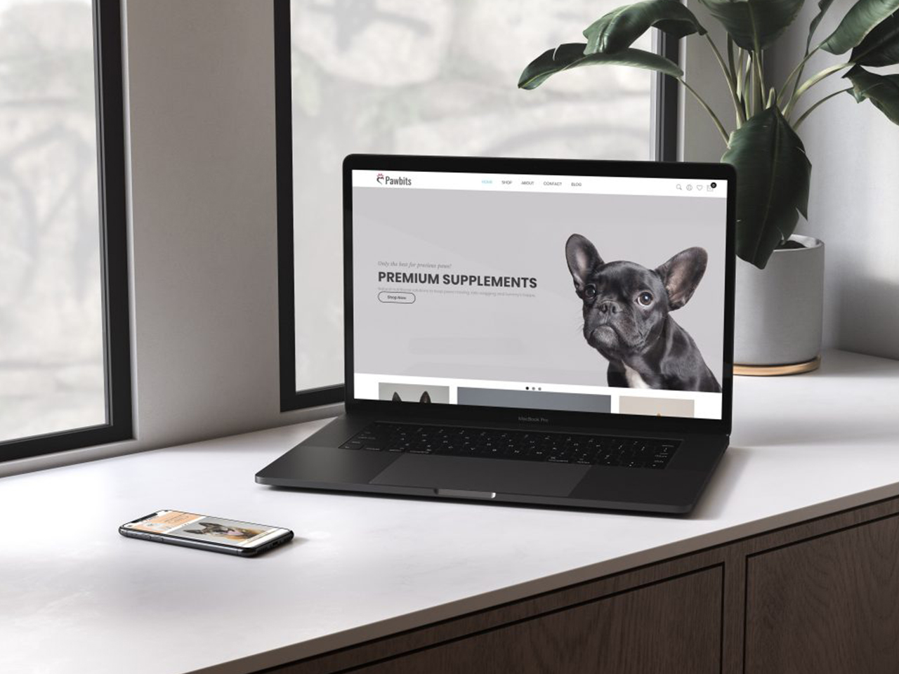 pawbits website view